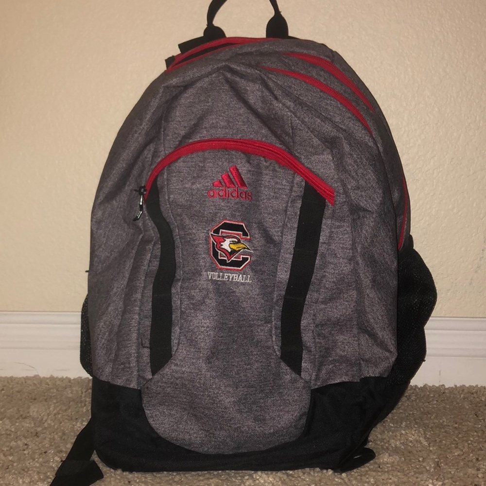 Volleyball bag